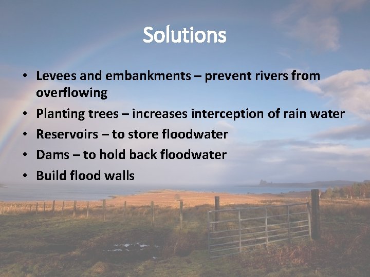 Solutions • Levees and embankments – prevent rivers from overflowing • Planting trees –