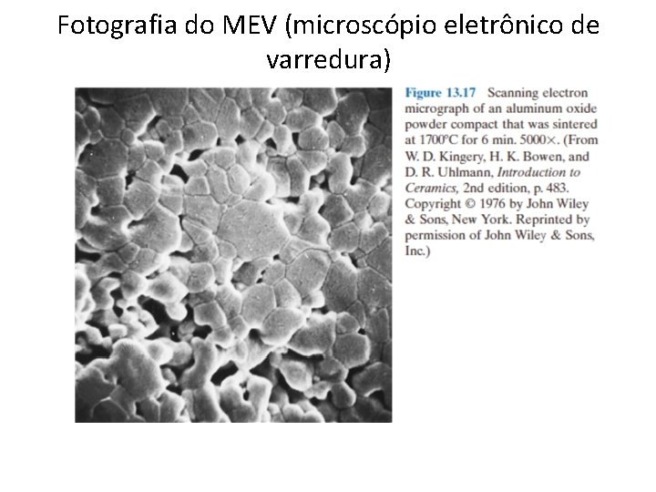 Fotografia do MEV (microscópio eletrônico de varredura) 