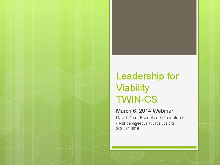 Leadership for Viability TWIN-CS March 6, 2014 Webinar David Card, Escuela de Guadalupe david_card@escuelaguadalupe.
