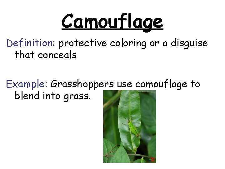 Camouflage Definition: protective coloring or a disguise that conceals Example: Grasshoppers use camouflage to