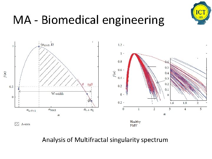 MA - Biomedical engineering Analysis of Multifractal singularity spectrum 