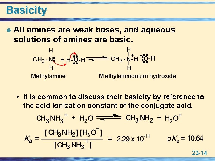 Basicity u All amines are weak bases, and aqueous solutions of amines are basic.