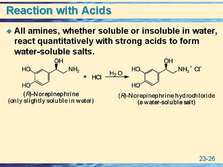 Reaction with Acids u All amines, whether soluble or insoluble in water, react quantitatively