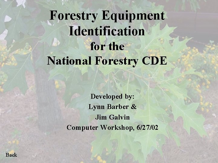 Forestry Equipment Identification for the National Forestry CDE Developed by: Lynn Barber & Jim