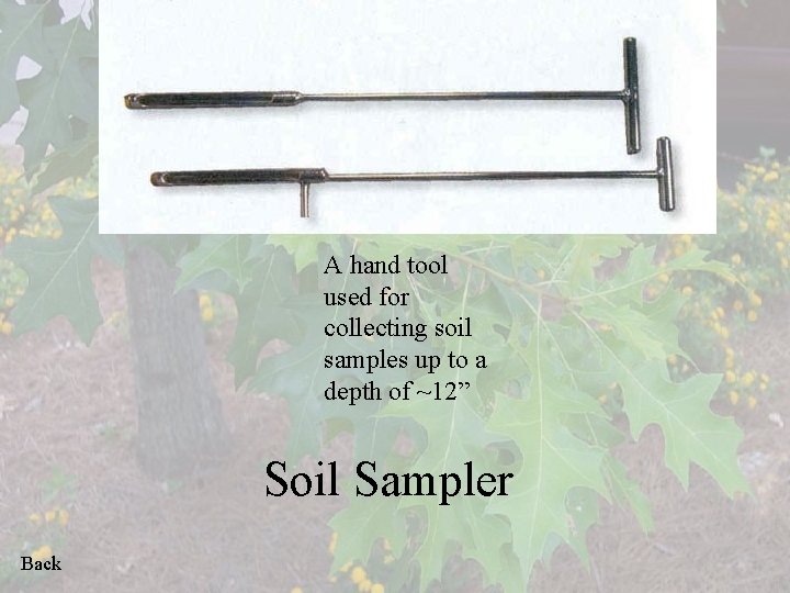 A hand tool used for collecting soil samples up to a depth of ~12”