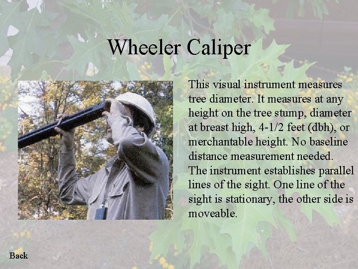 Wheeler Caliper This visual instrument measures tree diameter. It measures at any height on
