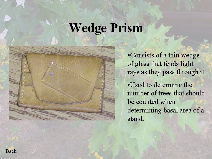 Wedge Prism • Consists of a thin wedge of glass that fends light rays