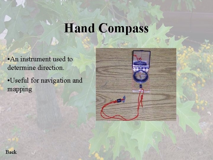 Hand Compass • An instrument used to determine direction. • Useful for navigation and