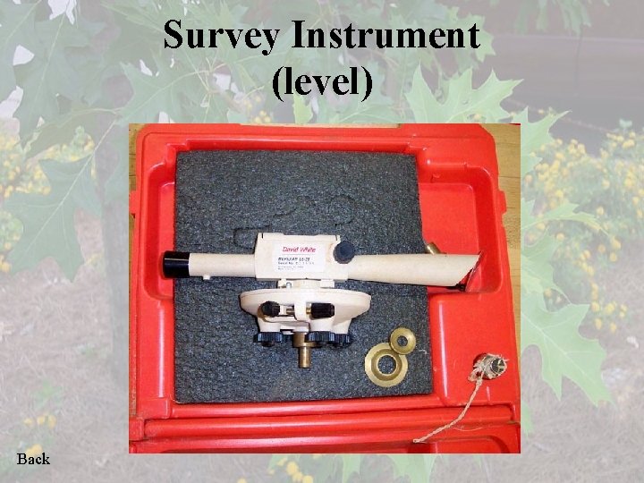 Survey Instrument (level) Back 