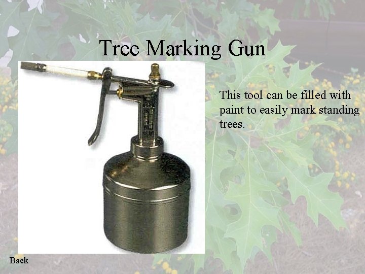 Tree Marking Gun This tool can be filled with paint to easily mark standing