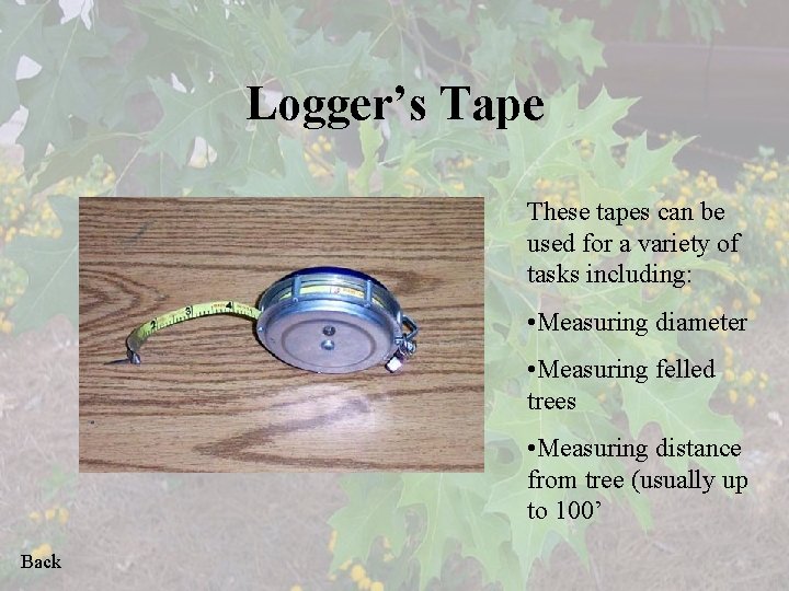 Logger’s Tape These tapes can be used for a variety of tasks including: •
