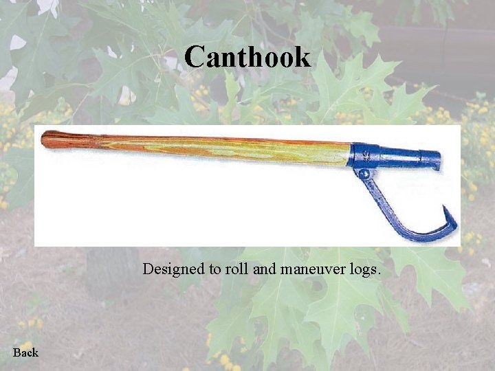Canthook Designed to roll and maneuver logs. Back 