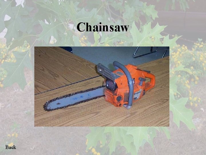 Chainsaw Back 