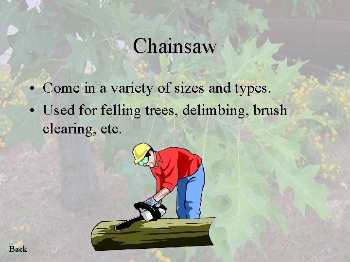 Chainsaw • Come in a variety of sizes and types. • Used for felling
