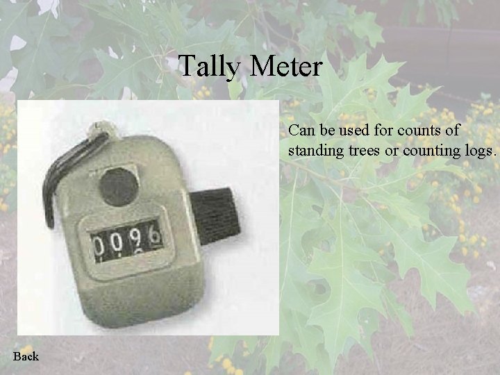 Tally Meter Can be used for counts of standing trees or counting logs. Back