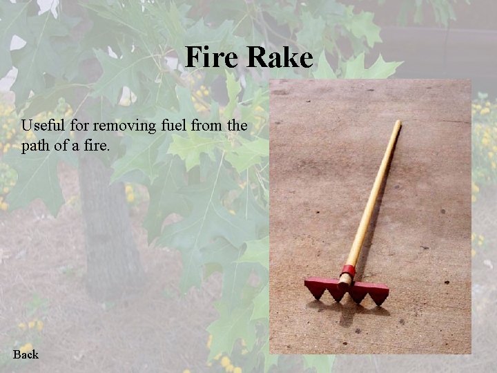 Fire Rake Useful for removing fuel from the path of a fire. Back 