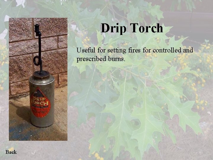 Drip Torch Useful for setting fires for controlled and prescribed burns. Back 