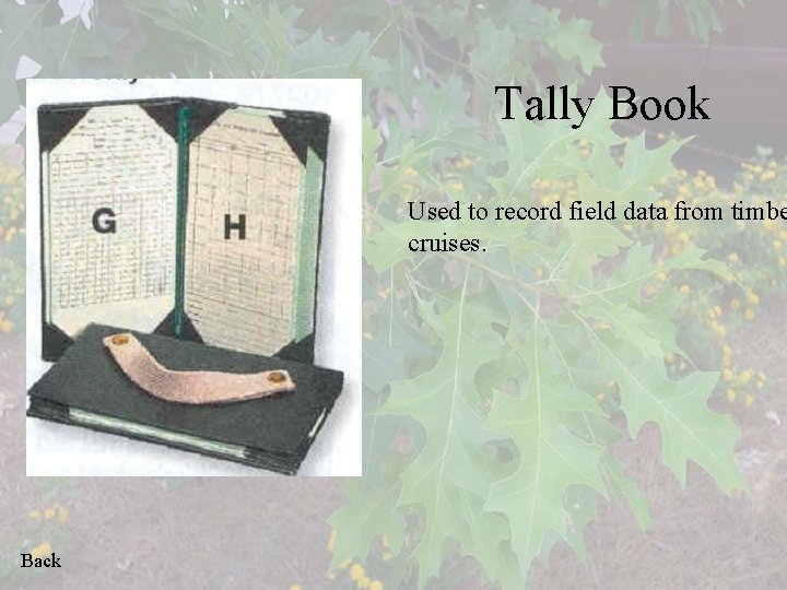Tally Book Used to record field data from timbe cruises. Back 