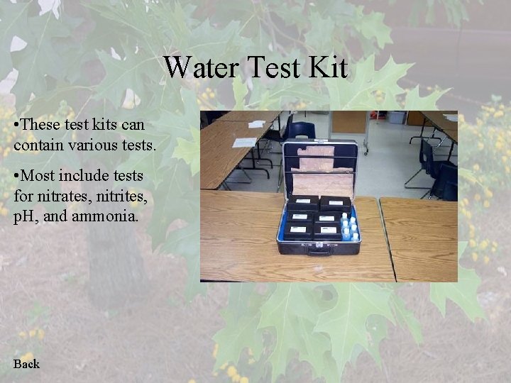 Water Test Kit • These test kits can contain various tests. • Most include