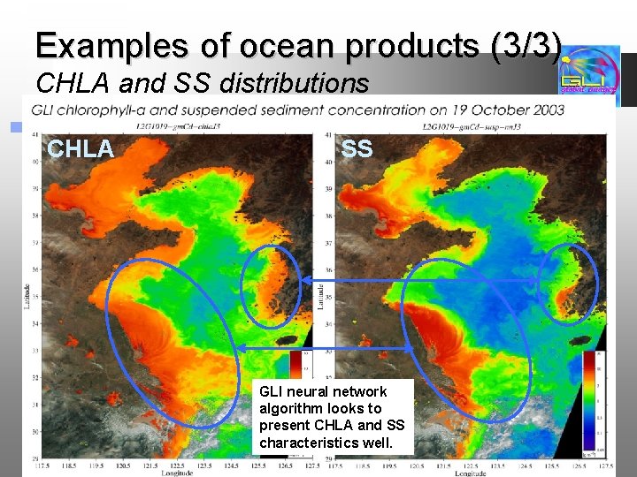 Examples of ocean products (3/3) CHLA and SS distributions CHLA SS GLI neural network