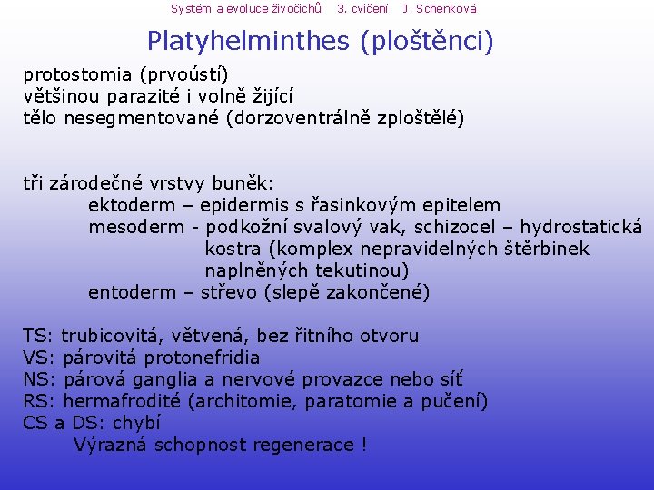 Systém a evoluce živočichů 3. cvičení J. Schenková Platyhelminthes (ploštěnci) protostomia (prvoústí) většinou parazité Systém a evoluce živočichů 3. cvičení J. Schenková Platyhelminthes (ploštěnci) protostomia (prvoústí) většinou parazité