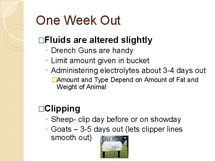 One Week Out �Fluids are altered slightly ◦ Drench Guns are handy ◦ Limit One Week Out �Fluids are altered slightly ◦ Drench Guns are handy ◦ Limit