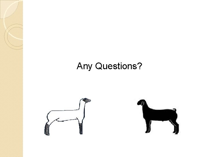 Any Questions? Any Questions?