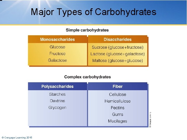 Major Types of Carbohydrates © Cengage Learning 2015 