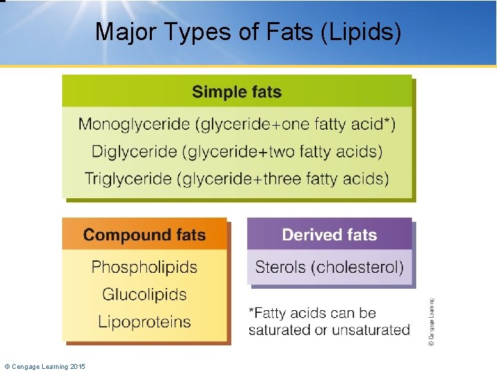 Major Types of Fats (Lipids) © Cengage Learning 2015 