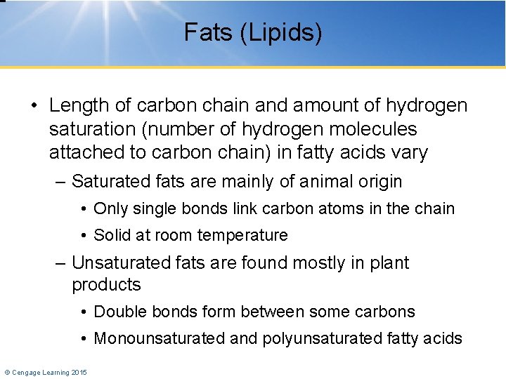 Fats (Lipids) • Length of carbon chain and amount of hydrogen saturation (number of