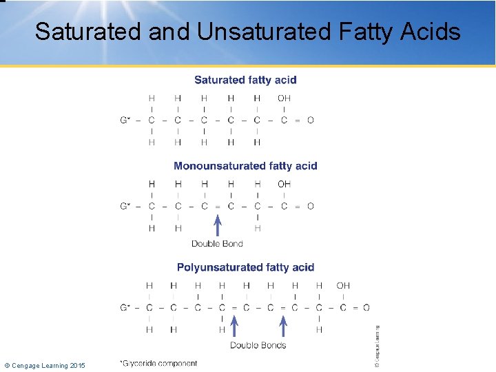 Saturated and Unsaturated Fatty Acids © Cengage Learning 2015 