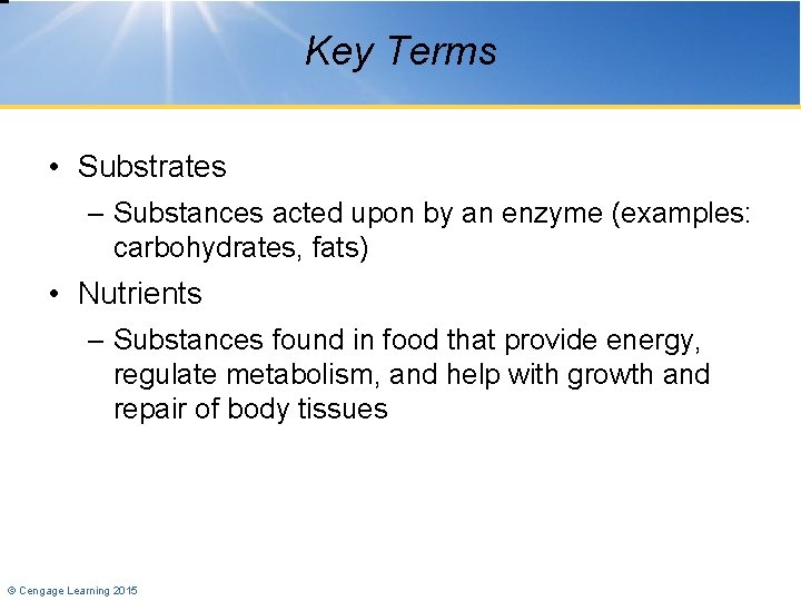 Key Terms • Substrates – Substances acted upon by an enzyme (examples: carbohydrates, fats)