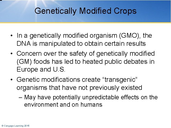 Genetically Modified Crops • In a genetically modified organism (GMO), the DNA is manipulated