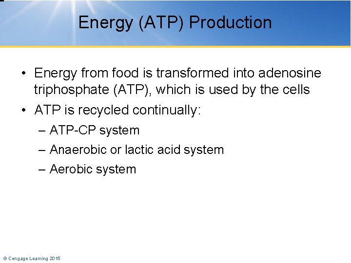 Energy (ATP) Production • Energy from food is transformed into adenosine triphosphate (ATP), which