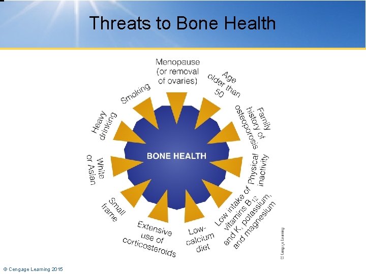 Threats to Bone Health © Cengage Learning 2015 