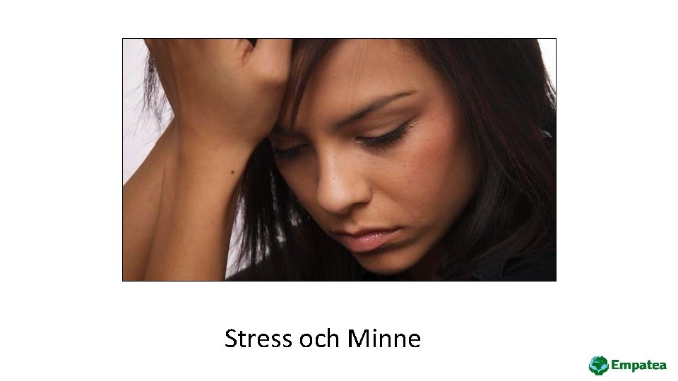 Stress och Minne 24 