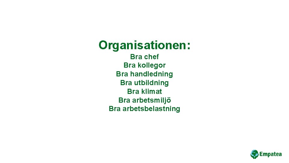 Organisationen: Bra chef Bra kollegor Bra handledning Bra utbildning Bra klimat Bra arbetsmiljö Bra