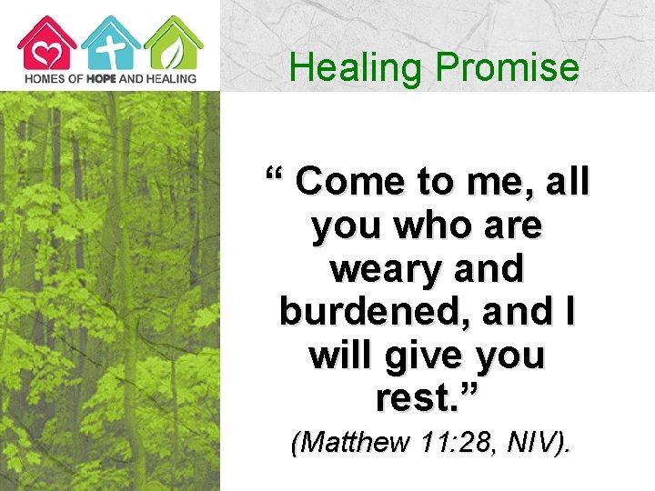 Healing Promise “ Come to me, all you who are weary and burdened, and