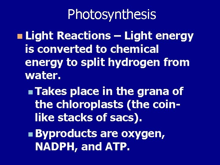 Photosynthesis n Light Reactions – Light energy is converted to chemical energy to split