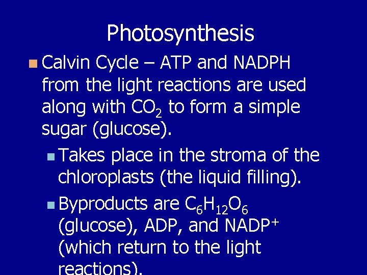 Photosynthesis n Calvin Cycle – ATP and NADPH from the light reactions are used