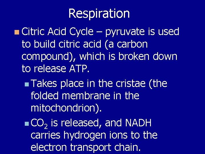 Respiration n Citric Acid Cycle – pyruvate is used to build citric acid (a