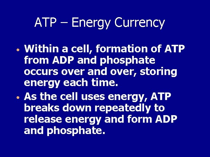ATP – Energy Currency • • Within a cell, formation of ATP from ADP
