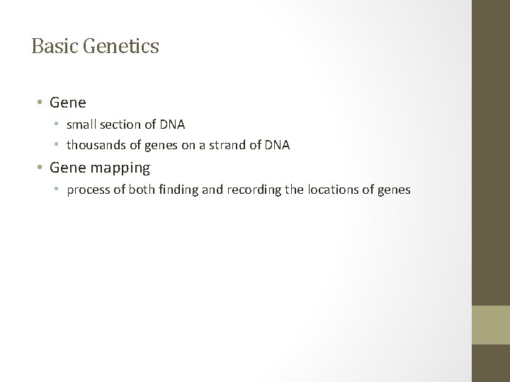 Basic Genetics • Gene • small section of DNA • thousands of genes on