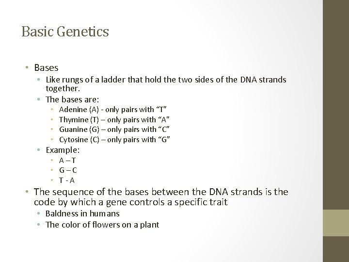 Basic Genetics • Bases • Like rungs of a ladder that hold the two