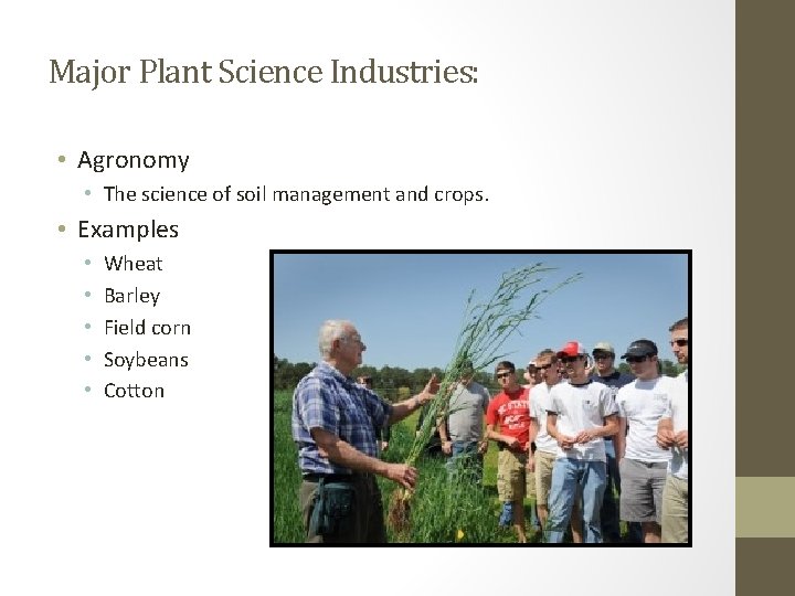 Major Plant Science Industries: • Agronomy • The science of soil management and crops.