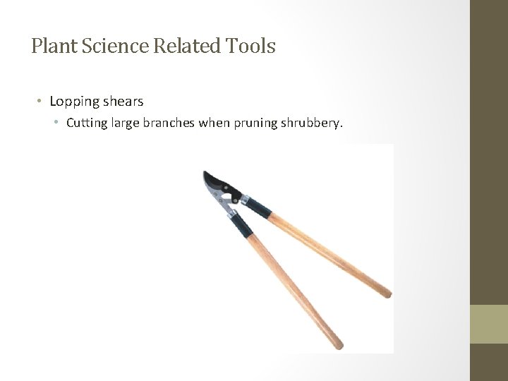 Plant Science Related Tools • Lopping shears • Cutting large branches when pruning shrubbery.