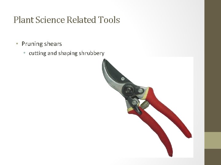 Plant Science Related Tools • Pruning shears • cutting and shaping shrubbery 