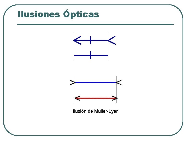 Ilusiones Ópticas Ilusión de Muller-Lyer Ilusiones Ópticas Ilusión de Muller-Lyer