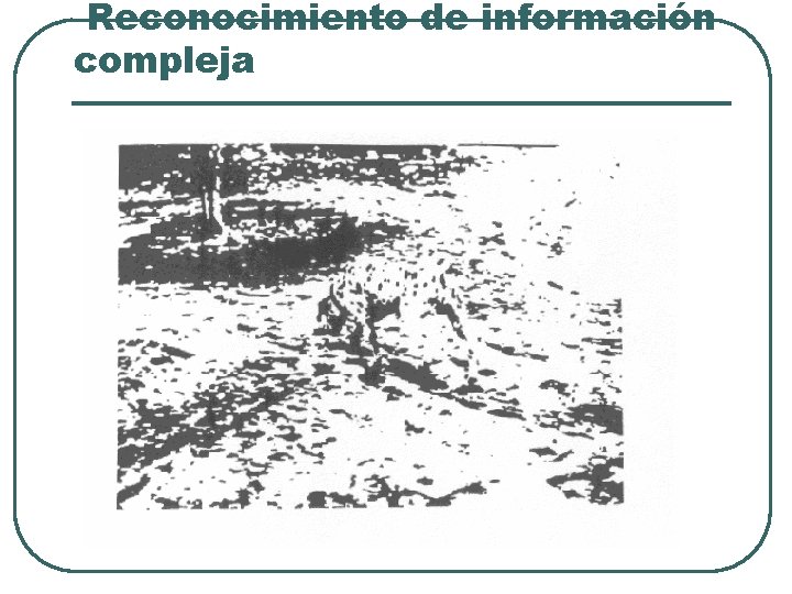 Reconocimiento de información compleja Reconocimiento de información compleja