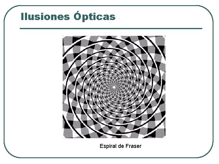 Ilusiones Ópticas Espiral de Fraser Ilusiones Ópticas Espiral de Fraser